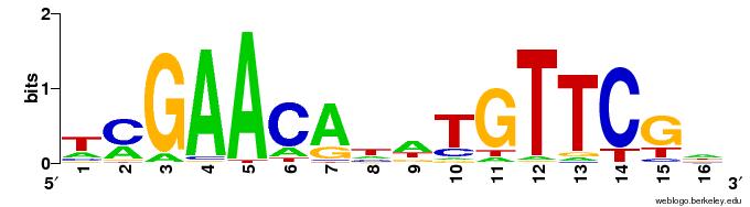 DNA Logo